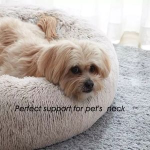 Small Pet Beds